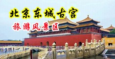 小美女骚逼网址中国北京-东城古宫旅游风景区